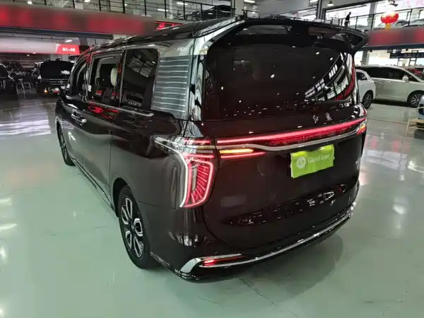 Hongqi HQ9 2023, фото 5