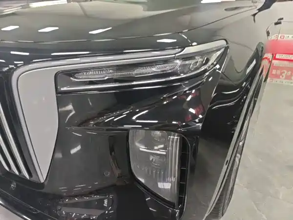 Hongqi E-HS9 2021, фото 24