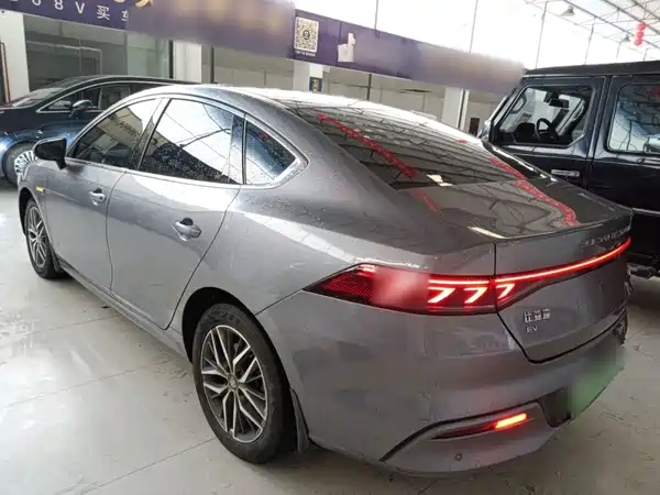  Qin PLUS