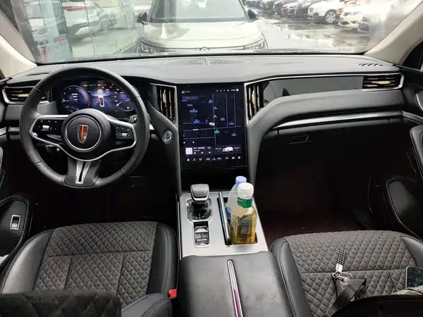 Hongqi HS7 2024, фото 6