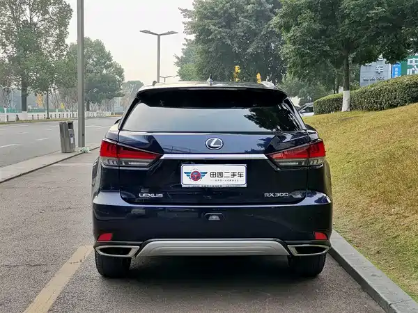 Lexus RX 2020, фото 5