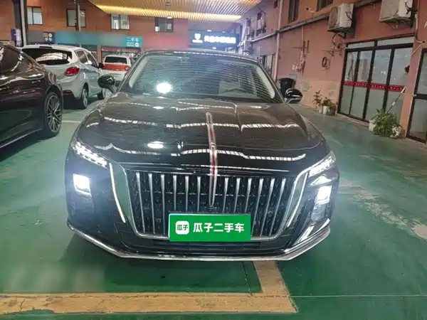 Hongqi H5 2025, фото 3