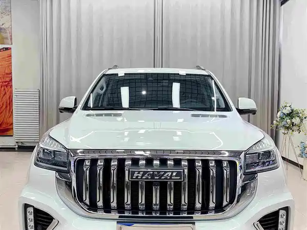 Haval H9 2022, фото 2