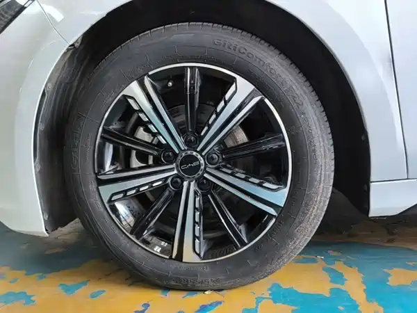 BYD Destroyer 05 2022, фото 22