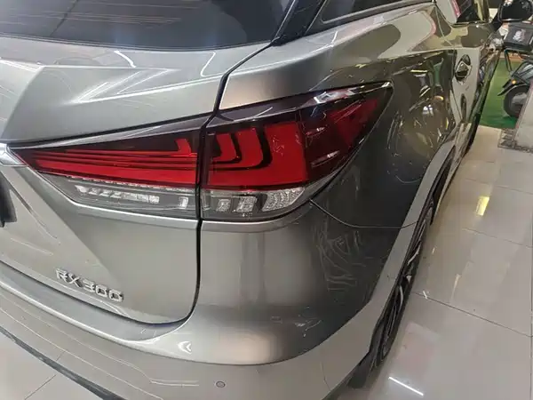 Lexus RX 2020, фото 7