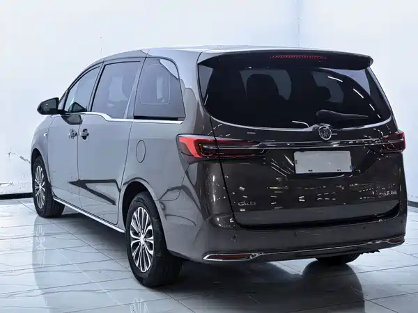 Buick GL8 2023, фото 9