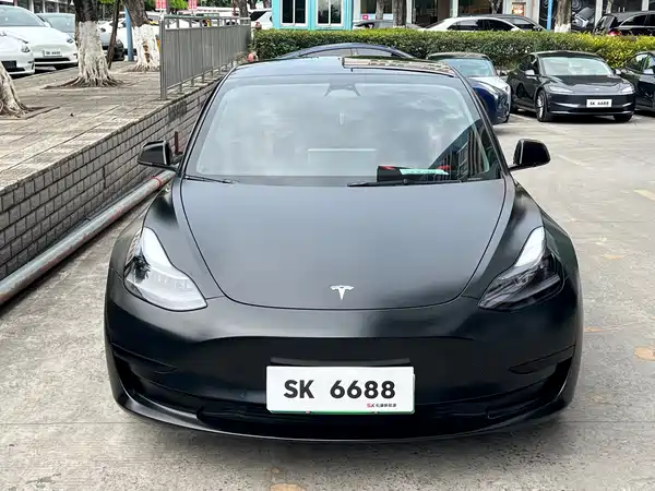 Tesla Model 3 2022, фото 2