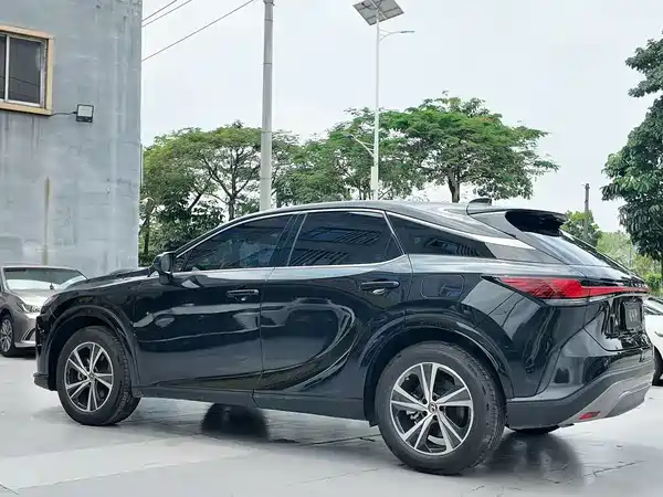Lexus RX 2023, фото 12