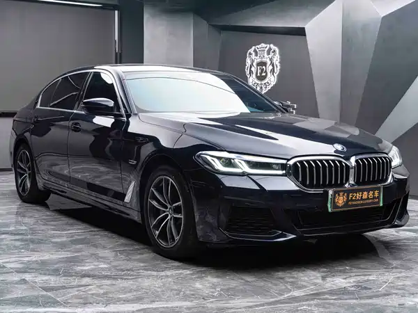 BMW 5 Series PHEV 2022, фото 7