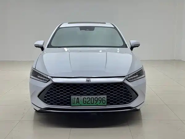 BYD Qin PLUS 2023, фото 2