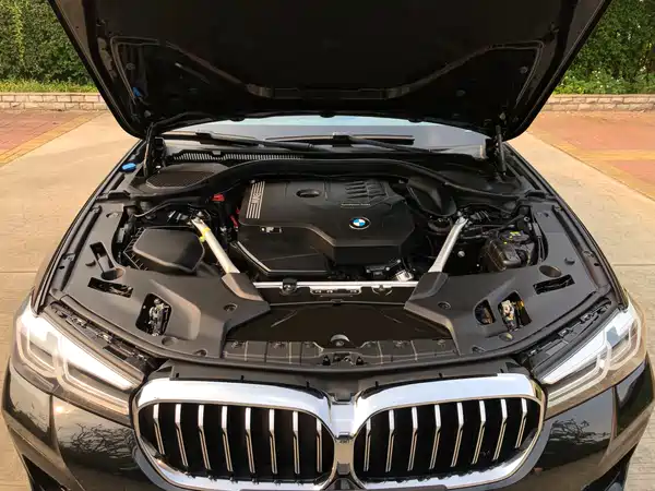 BMW 5 Series 2022, фото 19