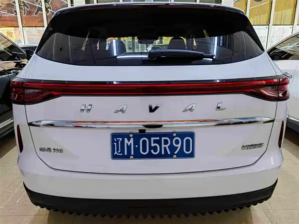Haval H6 2022, фото 5