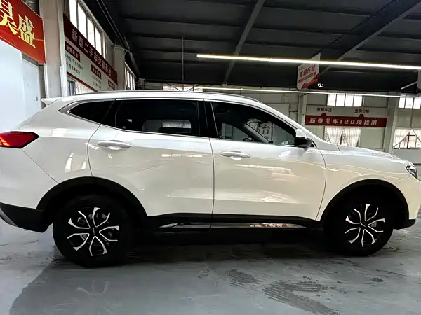 Haval H6 2021, фото 4