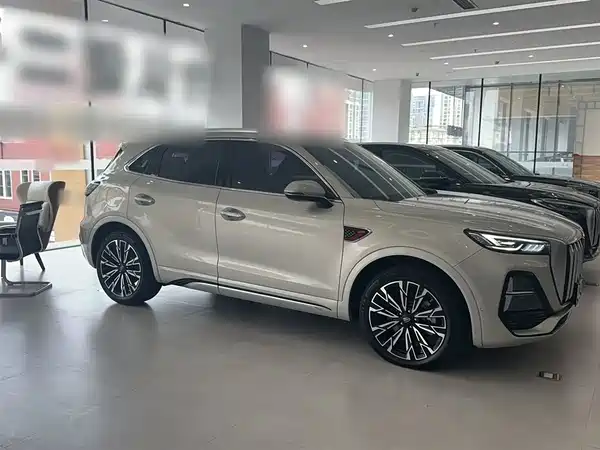 Hongqi HS5 2023, фото 6