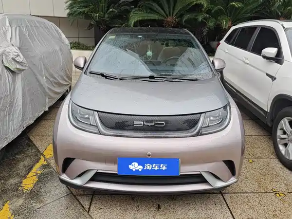 BYD Dolphin 2021, фото 2