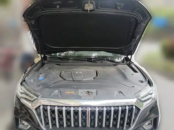 Hongqi HS5 2022, фото 3