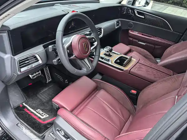 Hongqi E-HS9 2021, фото 28