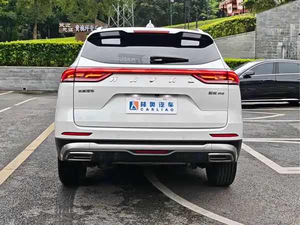 Haval H6 2021, фото 31