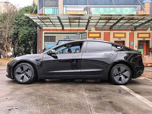 Tesla Model 3 2022, фото 14