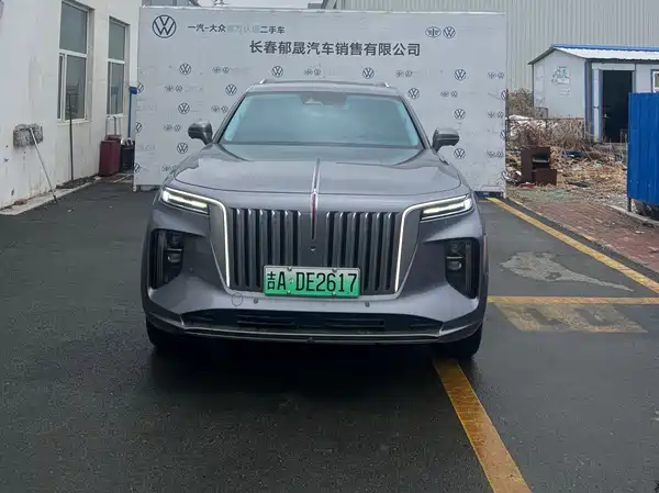 Hongqi E-HS9 2022, фото 2