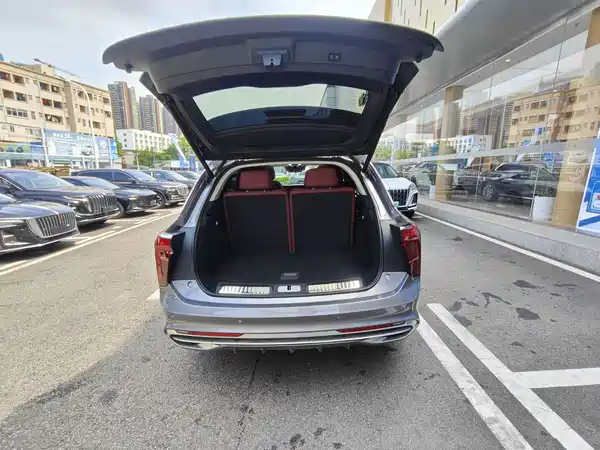 Hongqi E-HS9 2022, фото 15