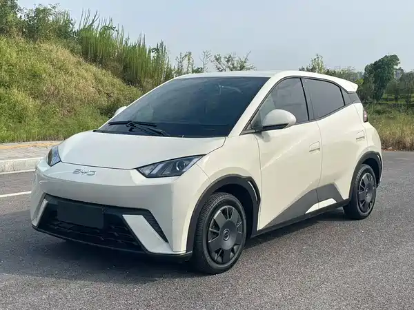 BYD Seagull 2024