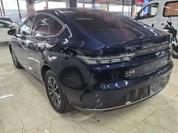 BYD Destroyer 05 2024, фото 4