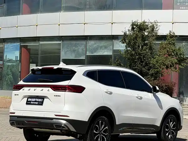 Haval H6 2021, фото 6