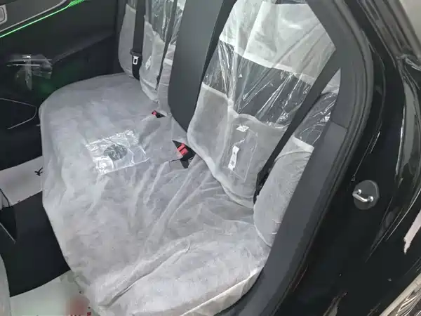 Hongqi H9 2024, фото 16