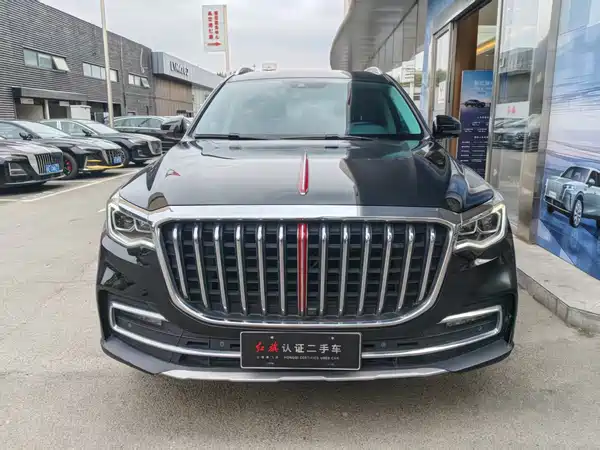 Hongqi HS7 2021, фото 2