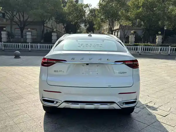 Haval F7x 2021, фото 6