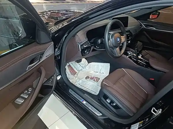 BMW 5 Series PHEV 2022, фото 16