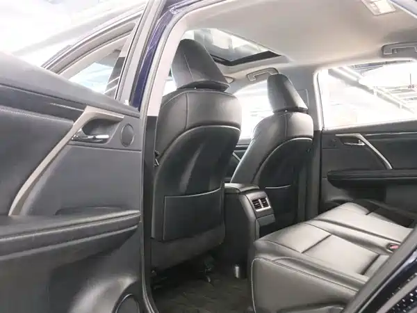 Lexus RX 2020, фото 16