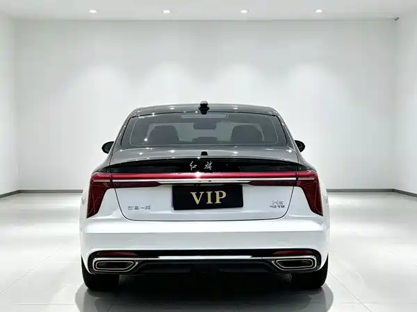 Hongqi H5 2023, фото 8