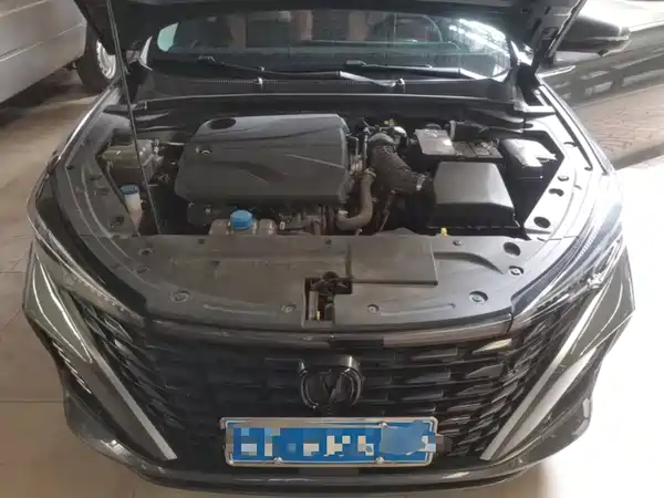 Changan Eado 2024, фото 19