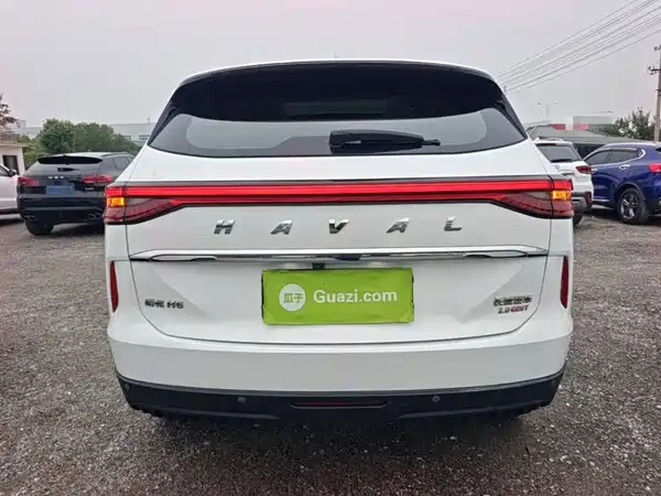 Haval H6 2021, фото 5