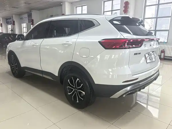 Haval H6 2023, фото 6