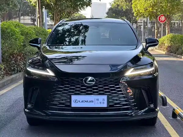 Lexus RX 2023, фото 2