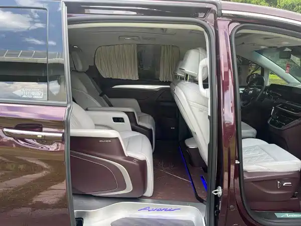 Buick GL8 2023, фото 14
