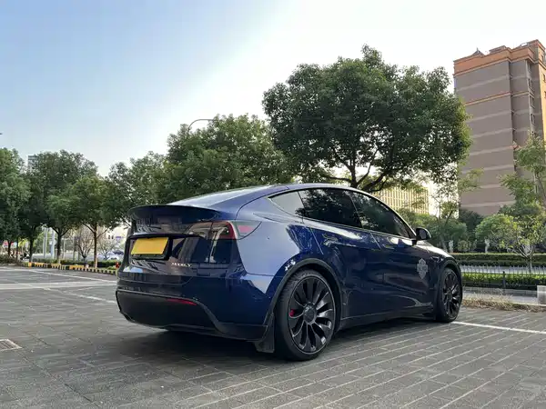 Tesla Model Y 2022, фото 15