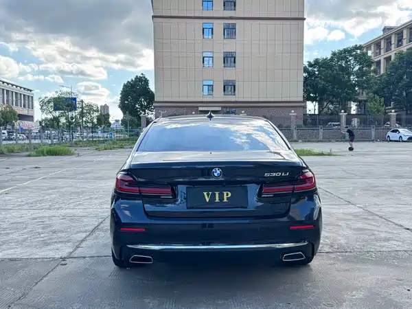 BMW 5 Series 2023, фото 18