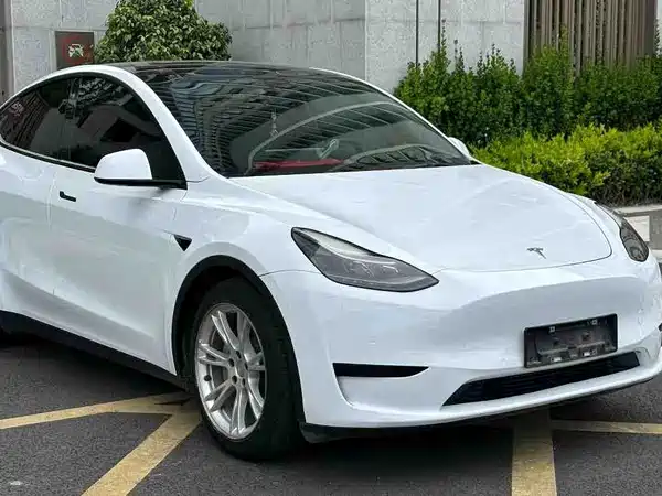 Tesla Model Y 2022, фото 3