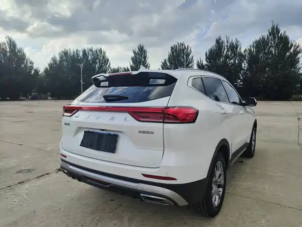 Haval H6 2021, фото 6