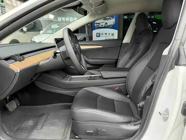 Tesla Model 3 2021, фото 7