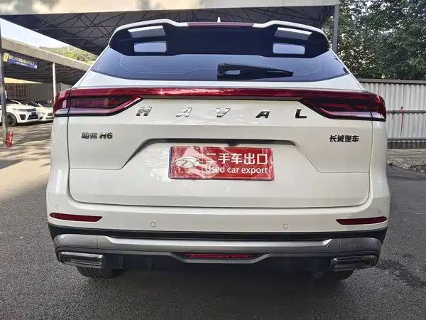 Haval H6 2021, фото 7