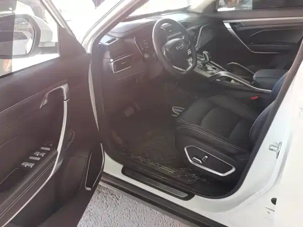 Geely Boyue 2020, фото 7