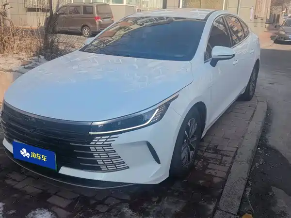 BYD Destroyer 05 2024
