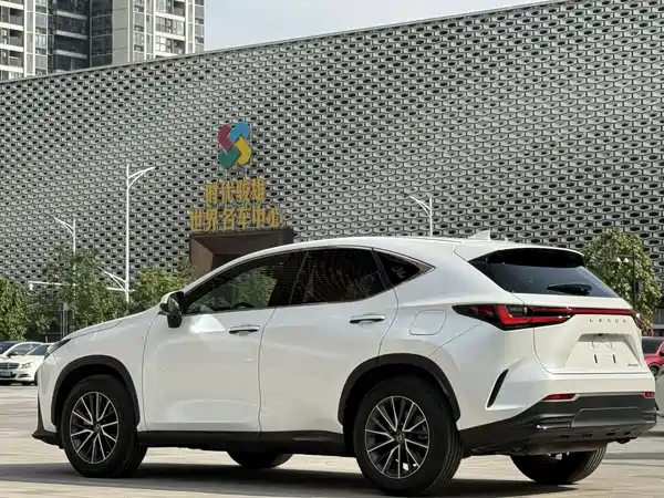 Lexus NX 2022, фото 20