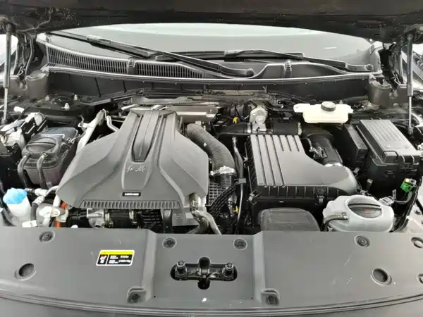 Hongqi HS7 PHEV 2024, фото 20