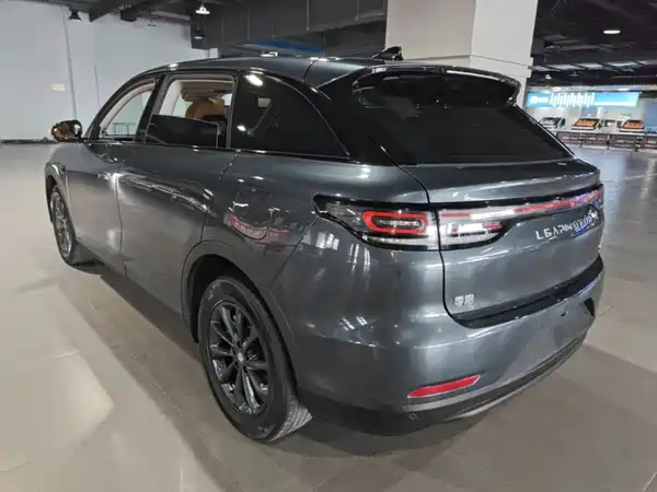 Leapmotor C11 2024, фото 4